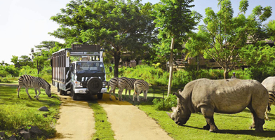 Taman Safari Indonesia  